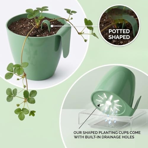 20 Pcs Strawberry Propagation Cups,Strawberry Rooting Cup Kit with Runner Forks Green Plastic Propagation Cups with Hook,Hanging Transplant Grow Station for Garden Greenhouse Balcony Planting (50 S) - Image 5