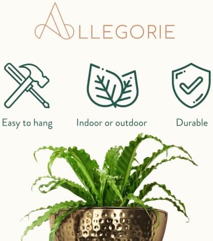 Allegorie Metal Wall Planter | Indoor or Outdoor Hanging Plant Pot | Farmhouse Decor & Boho Kitchen Decoration for Herbs & Succulents and Living wall 12x7 (Gold) - Image 5