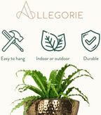 Allegorie Metal Wall Planter | Indoor or Outdoor Hanging Plant Pot | Farmhouse Decor & Boho Kitchen Decoration for Herbs & Succulents and Living wall 12x7 (Gold) - Image 5