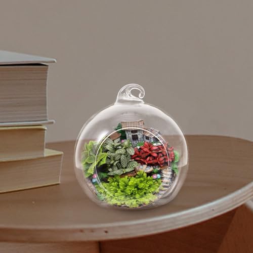 12Pcs Transparent Hanging Glass Globe Terrarium for Air Plants Creative Micro Landscape Decor for Home Office Decoration and Plant Display - Image 5