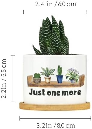 DreamAutumn Just One More Plant Ceramic Planters Pack of 3 Ceramic Pots with Saucers Orchid Pots for Plants Succulents Pots Home Office Desk Garden Balconys Decor,Gifts for Mom - Image 2