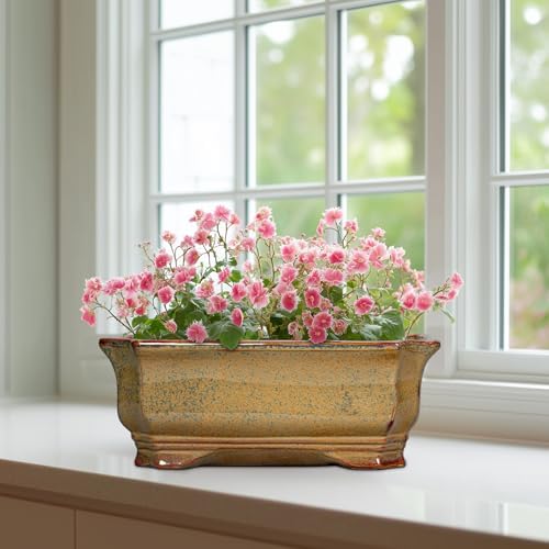 Bonsai Tree Pots 11.6 Inch - Ceramic Bonsai Planter for Succulent Plants, Succulent Pots with Drainage Hole, Large Indoor Flower Pot, Home Decor, Plant Lover Gifts, Rectangular Yellowish Brown - Image 6