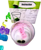 Moss Pet Glass Terrarium Bottle Kit with Cork Lid, Crystal Castle Design, 2 Moss Amigos, Decorative Display Jar Gift for Men and Women - Image 2
