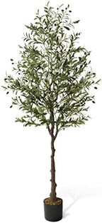 CAPHAUS 6FT Artificial Olive Tree Potted, UV Resistant Indoor Faux Plant - Realistic for Living Room, Office Decor, Housewarming Gift (72 Inch) by CAPHAUS