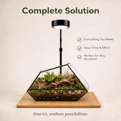 Luckyrunes Complete Glass Terrarium Kit with Live Moss, Polygon - Image 4