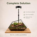 Luckyrunes Complete Glass Terrarium Kit with Live Moss, Polygon - Image 4