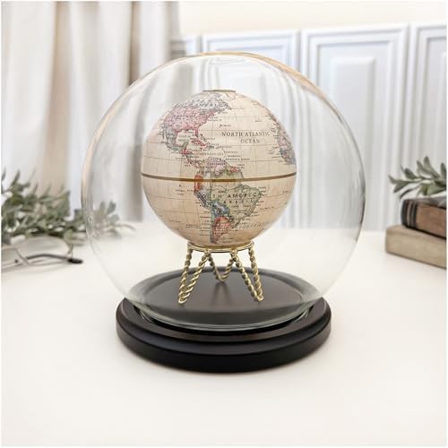 Plymor 6" x 7" Glass Display Dome Globe Cloche (Black MDF Wood Base), Pack of 2 - Image 2
