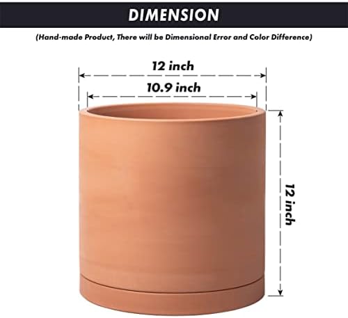 D'vine Dev Terracotta Plant Pot with Saucer, 12 Inch, 40-X-A-6 - Image 3