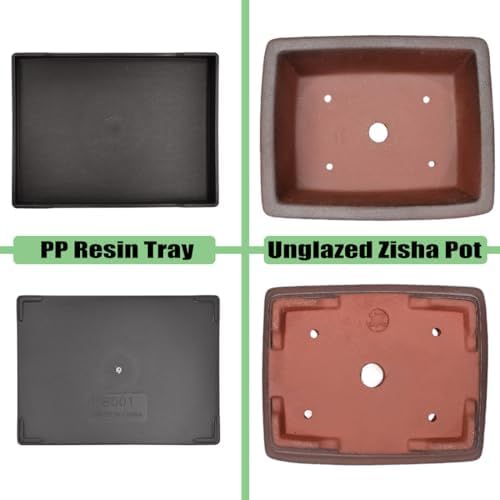 MUZHI Decorative Ceramic Bonsai Planter Pot 8.5 Inch with Tray, Breathable Unglazed Rectangle Terracotta Clay Pot for Tree Succulent Cactus Indoor Outdoor Red Brown (Classic Rectangle A 8.5“) - Image 4