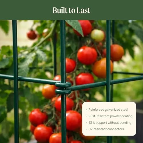 Vego Garden Tomato Cage 16.5" Square Heavy-Duty for Garden & Pots, Rust-Resistant Tomato Stackable Heavy Gauge Plant Cage Trellis Support for Climbing Vegetables Plants - Image 6