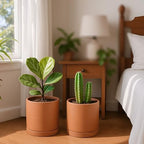 D'vine Dev 2-Pack Terracotta Plant Pots with Saucers, 10 Inch, 40-X-B-5 - Image 5