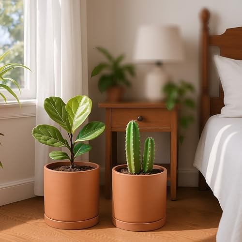 D'vine Dev 2-Pack Terracotta Plant Pots with Saucers, 10 Inch, 40-X-B-5 - Image 5