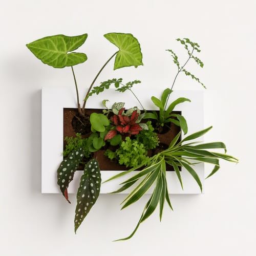 FRESH SPEED Self-Watering Wall Planters with 8-Hole Grow Sponges - Image 2