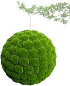 Artificial Plant Topiary Ball Tree Dia 12in, Faux Moss Balls Decorative, Round Faux Moss Balls Outdoor, Green Grass Decorative Balls, for Indoor/Outdoor Wedding Party Decor by ATYUJKB