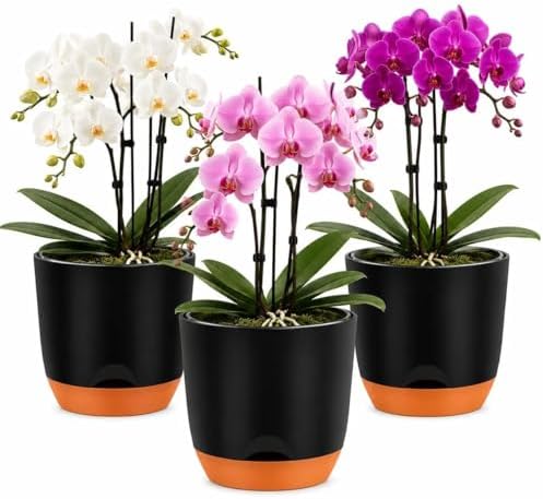 QCQHDU 7.2Inch Orchid Pots with Holes for Repotting, Double-Layer Plastic Self Watering Flower Pots for Indoor Plants with Drainage Holes, Clear Orchid Pot Match Decorative Orchid Container, 3 Packs by QCQHDU