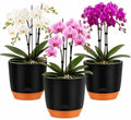 QCQHDU 7.2Inch Orchid Pots with Holes for Repotting, Double-Layer Plastic Self Watering Flower Pots for Indoor Plants with Drainage Holes, Clear Orchid Pot Match Decorative Orchid Container, 3 Packs by QCQHDU