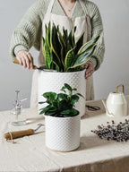 LE TAUCI 10+8+6 Inch Ceramic Pots for Plants, Indoor Planters with Drainage Hole and Plug, Raised Dots Cylinder Flower Pots Set of 3 for Living Room and Bedroom, Matte, White - Image 4