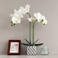 LISU Artificial Orchids, Silver Vases, Home Decoration Flower Arrangements, Fake Flowers in Vases. (C:White) by Unknown