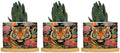 Animal Tiger Stripe Chinoiserie Ceramic Planters Orange and Coral Peony Flower Flower Pots for Indoor Plants with Drainage Holes and Saucers Pot for Home Office Decoration by BRUYU5SE