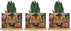 Animal Tiger Stripe Chinoiserie Ceramic Planters Orange and Coral Peony Flower Flower Pots for Indoor Plants with Drainage Holes and Saucers Pot for Home Office Decoration by BRUYU5SE
