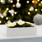 WGVI Long Rectangle Ceramic Planter Vase in White 14" x 4" x 4"H, Rectangular Box Block Terrarium Pot, Flower Arrangement, Tabletop Centerpiece, Home Decor Organization Storage Container, 4 Pcs. - Image 6