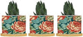 Chinoiserie Coral Peony Floral Ceramic Planters Floral Botanical Painting Planters for Indoor Plants with Drainage Holes and Saucers Pot for Pots Outdoor Indoor Plants by BRUYU5SE