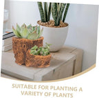 Vintage Driftwood Pattern Wood Planter Pot for Succulents, Cement Brown - Image 3
