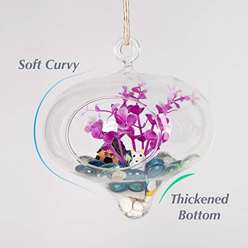 WGVI Glass Hanging Planter Air Fern Terrarium,3 Pack of Plants Hanger Vase for Succulent Moss,Tillandsias and Air Plants, Home Decorations,a Set of Globe,Teardrop,Peach - Image 2