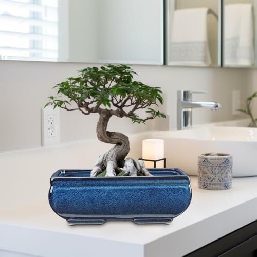 Villa Como Set of 2 Large Bonsai Pots with with Drainage Hole, 9.8"&7.4" - Image 6