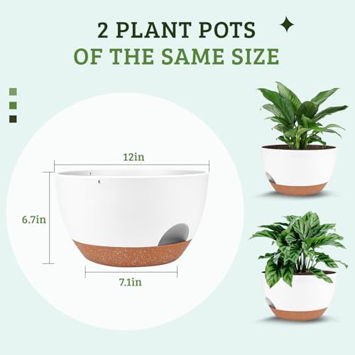 Vanslogreen Plant Pots 12inch Self Watering Pots, Set of 2 Plastic Planters with Drainage Holes and Saucers, Flower Pots for Indoor Outdoor Plants (White) - Image 2