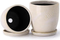 5.75 Inch Ceramic Planter Set of 2 with Drainage Hole and Saucer for Plants, Indoor-Outdoor Large Round Succulent Orchid Flower Pot -Reactive Color Spot(Inner-pots not Larger Than 5 Inch) by Unknown