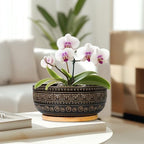 G EPGardening 8 Inch Ceramic Succulent Planter Pots for Indoor Plants Round Shallow Bonsai Planter Pot with Drainage and Bamboo Saucer, Black - Image 6
