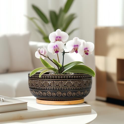 G EPGardening 8 Inch Ceramic Succulent Planter Pots for Indoor Plants Round Shallow Bonsai Planter Pot with Drainage and Bamboo Saucer, Black - Image 6
