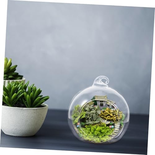 Xmas 12pcs Glass Globe Hanging Terrarium for Plants, Household Decor - Image 7