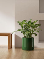 LE TAUCI 12 Inch Pot for Plants, Ceramic Indoor Planter, Bamboo Green - Image 2