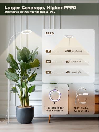 GLOWRIUM Tall Plant Grow Light for Indoor Plants, Full Spectrum Plant Light - Image 4
