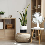 D'vine Dev 8.2 Inch Ceramic Planter Pot, Black White Two Tone, 94-O-D-L - Image 6