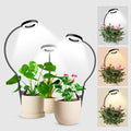 wolezek 2 in 1 Grow Lights for Indoor Plants, 3 Colors 48 LEDs Plant Lights by WOLEZEKLED