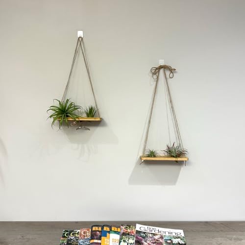 Tierra Garden Double Air Plant Swing Set – Hanging Multi-Plant Display for 2 to 4 Air Plants, Natural Poplar Wood with Twine & Beads - Air Plant Holder - Image 2