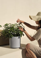 Veradek Demi Series Round Planter for Porch, Patio, Backyard | Durable Plastic-Concrete Material | Modern Décor for Tall Plants, Flowers - Image 5