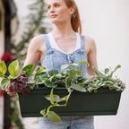 Bloem Dayton 24" Recycled Plastic Window Box Planter, Turtle Green, 3-Pack - Image 2