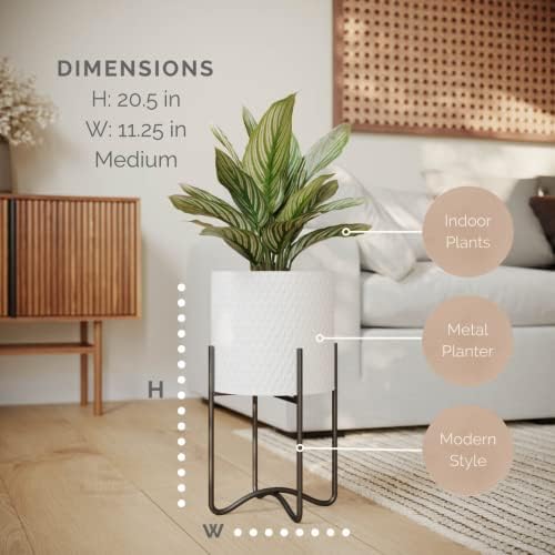 EverNest Claire Mid-Century Modern White Plant Pot with Ambrose Stand, SelectBase, Indoor Plant Pot, Bohemian Style, Minimalist Plant Home Décor (Medium, Black) - Image 2