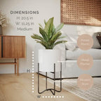 EverNest Claire Mid-Century Modern White Plant Pot with Ambrose Stand, SelectBase, Indoor Plant Pot, Bohemian Style, Minimalist Plant Home Décor (Medium, Black) - Image 2