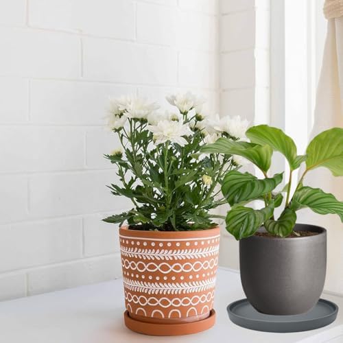 Yukfona Ceramic Plant Saucer Tray 2 Pcs 8 Inch Grey, 8.5" OD x8.15 ID x1 Deep| Fits Flower pots Bottom≤ 8.15", Heavy Duty Glazed Round Planter Drip with Catch Basin for Indoor Outdoor Plants - Image 5