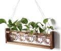 Plant Terrarium Hanging Propagation Stations Gift for Women by YYHglass