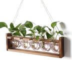Plant Terrarium Hanging Propagation Stations Gift for Women by YYHglass