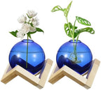 M METERXITY 2 Pack Glass Planter Terrarium with Wooden Stand, Desktop Plant Propagation Station Bulb Vase for Hydroponic Plants Propagation/Home Garden Decor/Plant Lover [Blue] by MMETERXITY
