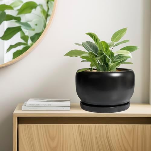 SQOWL Ceramic Flower Pot - 10 Inch Planter with Drainage Hole and Saucer, Modern Large Plant Pot Indoor Outdoor, Decorative Round Planter, Bedroom Decor, Gifts for Plant Lovers, Black - Image 7