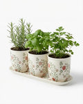 vensovo Ceramic Planter Set with Tray, 3 Small Herb Pots, Green Leaf by vensovo