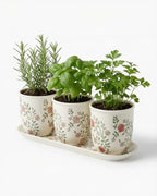 vensovo Ceramic Planter Set with Tray, 3 Small Herb Pots, Green Leaf by vensovo